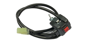 Schalter und elektrische Bauteile