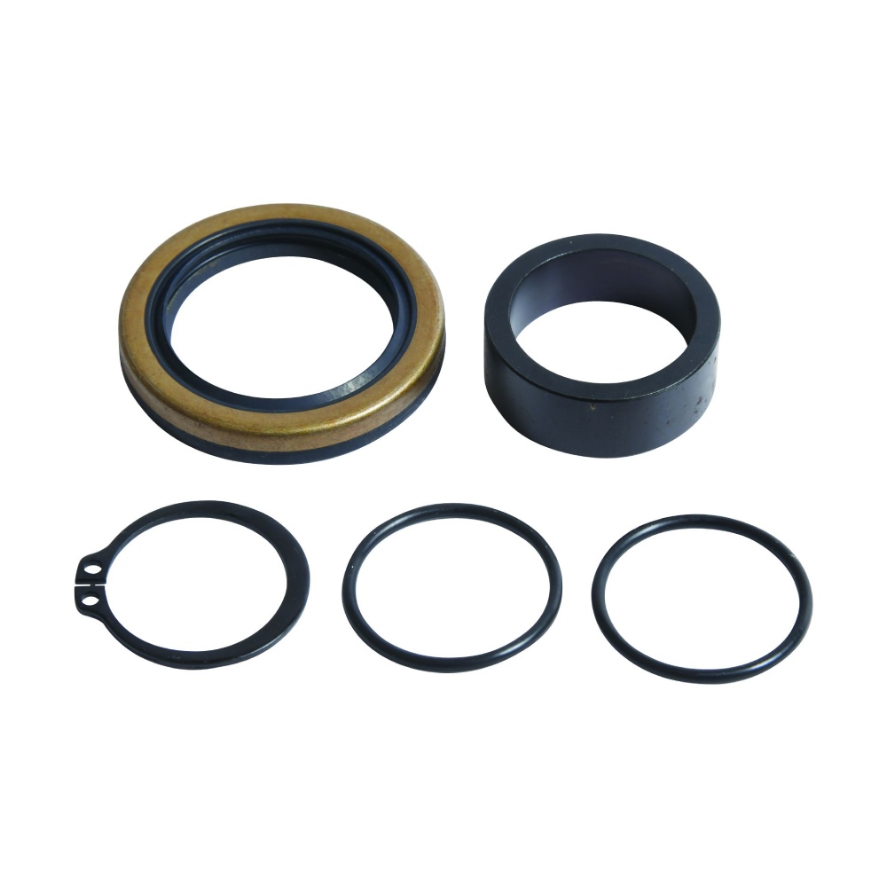 Dichtsatz für Abtriebswelle Beta RR 125 2T (19-25) AB-25-4047