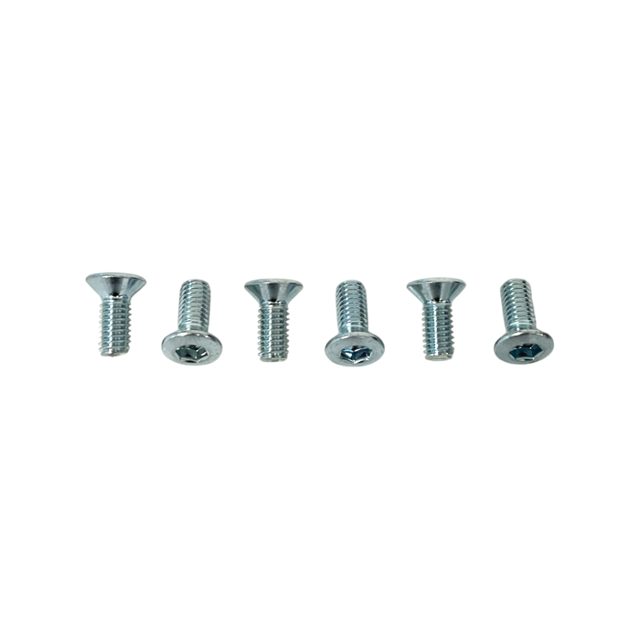 Bremsscheiben-Schraubensatz Fantic 125 XE (21-25) vorne NRTeam DS89.2001