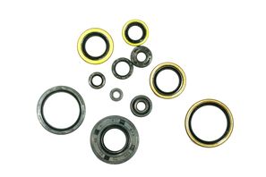 Motordichtungssatz NRTeam Kawasaki KX 250 (95-03) GK3021OS