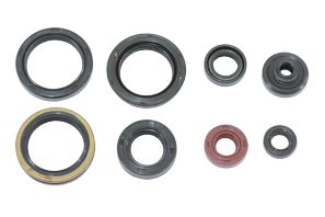Motordichtungssatz NRTeam Suzuki RMZ 250 (10-24) GK5021OS
