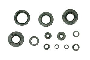 Motordichtungssatz NRTeam Fantic 125 XX (22-23) GK7012OS