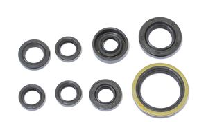 Motordichtungssatz NRTeam Gasgas 250 EC-F (13-15) GK7022OS