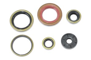 Motordichtungssatz NRTeam KTM 250 SX-F (06-12) GK8014OS