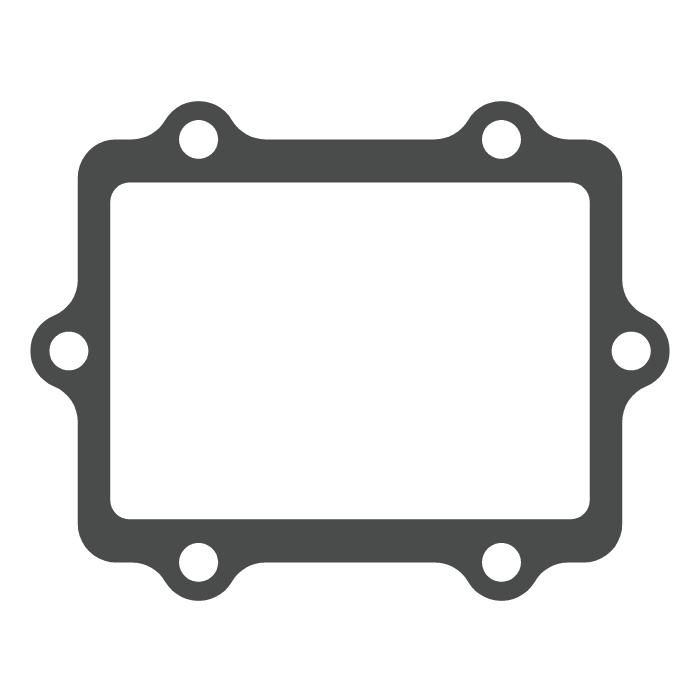 Membranventile Honda CR 250 (02-07) - V-Force 3 (Nur Dichtung) MTG05A
