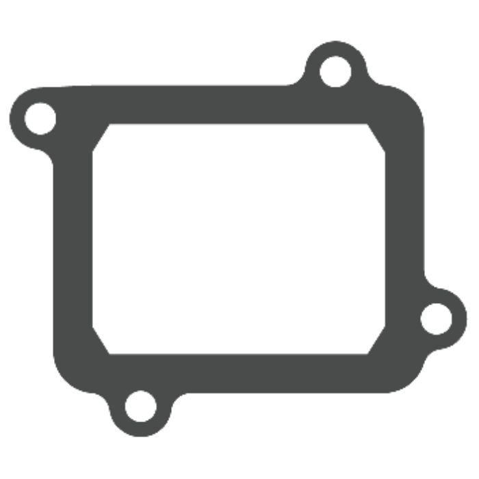 Membranventile Fantic 125 XE (21-25) - V-Force 4 R (Nur Dichtung) MTG304