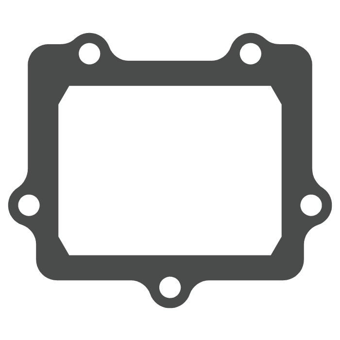 Membranventile Suzuki RM 250 (03-12) - V-Force 3 (Nur Dichtung) MTG307