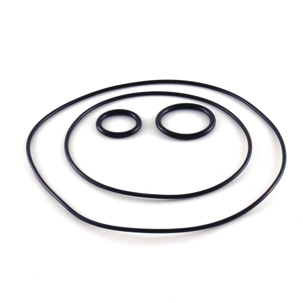 Zylinderkopf VHM Fantic 300 XE (24-26) - O-Ring-Satz SK33221